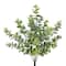 14" Dusty Green Eucalyptus Bush by Ashland®